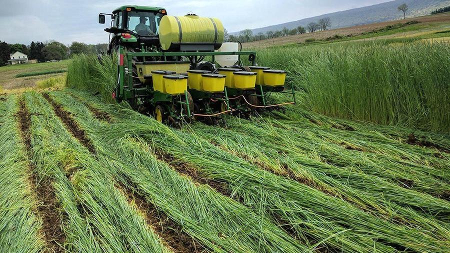  Planting Green Cover crop Strategy May Help Farmers Deal With Wet 